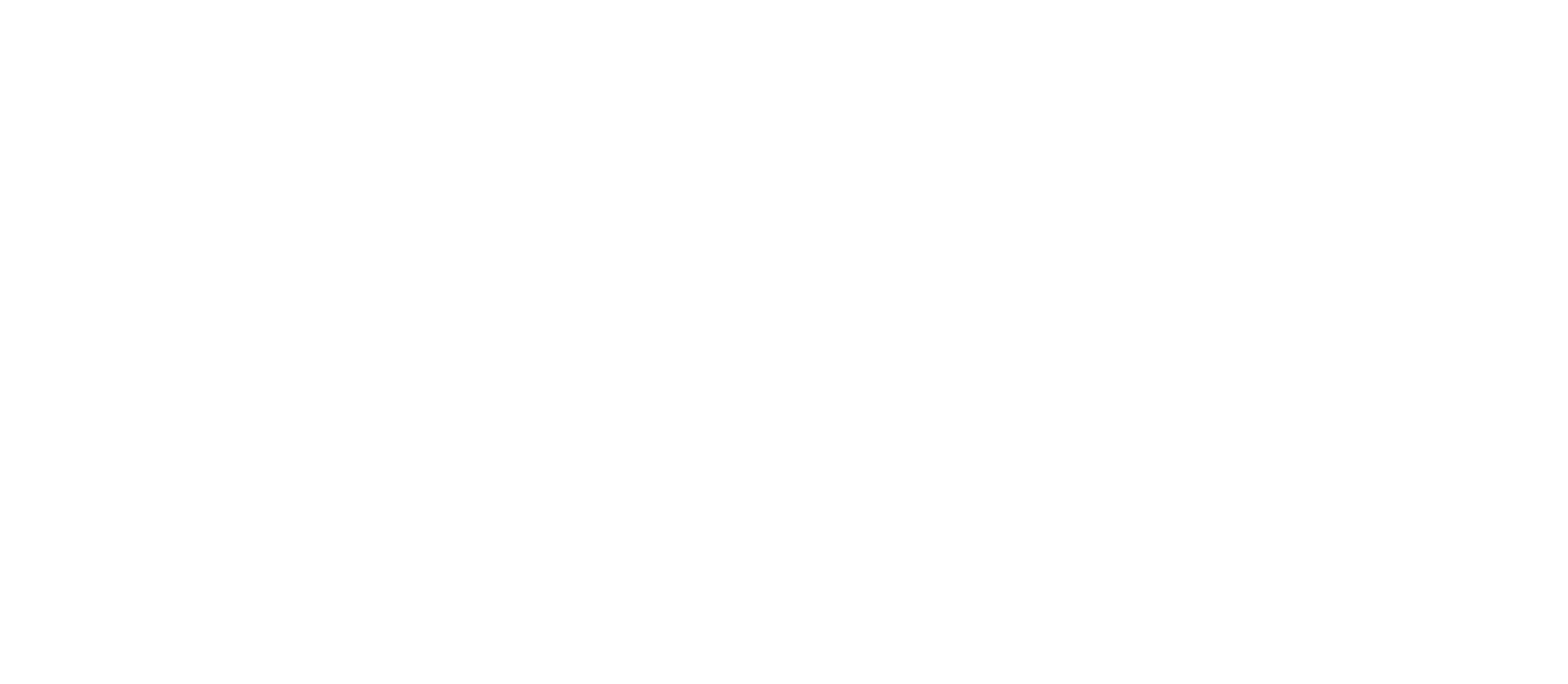 Lavasportswear logo